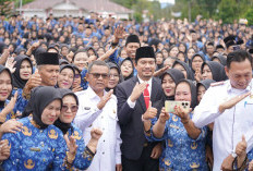 170 PPPK Paruh Waktu Bengkulu Utara Gagal Akses Akun My ASN