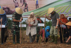 Pemprov Bengkulu Usulkan Kuota Tambahan Pupuk Subsidi Tahun Depan