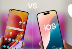 5 Smartphone Paling Laku Dibeli Anak Muda, Simbol Gaya Hidup