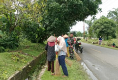 DLH Kembali Pekerjakan 100 Petugas Kebersihan,  Antisipasi Sampah Membludak