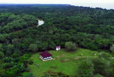 Cocok untuk Keluarga dan Spot Foto Instagram! Berikut 4 Fakta Wisata Benteng Tabanio di Kalimantan Selatan