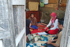 Aplikasi KPU Ngadat, Verfak Calon Perseorangan di Provinsi Bengkulu Tersendat