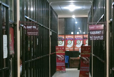 Oknum ASN Pemkot Bengkulu Dilaporkan, Diduga Lecehkan Anak di Bawah Umur