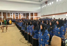 Pemprov Validasi Data 4.471 Honorer, untuk Diusulkan  Jadi PPPK Paruh Waktu