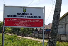 Bupati Rifai Ambil Langkah Tegas Sikapi Warem di Lahan Pemerintah