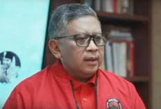 Pasca Penetapan Tersangka  Hasto, PDI P Diterpa Isu Perpecahan, Ini Kata Politisi PDI-P Bengkulu 