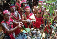Menelusuri Kesucian Nyobeng, Upacara Penyucian Kampung Dayak Sungkung