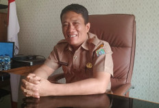 Ting! TPG Januari Sudah Masuk, Lekas Cek Rekening Masing-masing