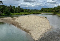 Kaji Potensi Irigasi dan Bendungan  Air Nelengau, Ini Yang Dilakukan Pemkab Bengkulu Selatan  