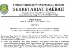 262 Peserta Dinyatakan Lulus CPNS Bengkulu Tengah