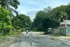 Setelah Pembangunan Jembatan di Bengkulu Selatan, Warga Minta Perbaikan Jalan 