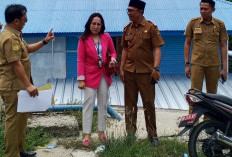 Kolaborasi Pemerintah dan Swasta Hadirkan Lampu Penerangan Jalan
