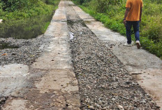 Jalan Usaha Tani Senilai Rp850 Juta Mulai Rusak, Proyek Dinas TPHP Provinsi Bengkulu 