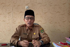 Disdikbud Tegaskan Pelamar PPPK Guru Jangan Salah Syarat 