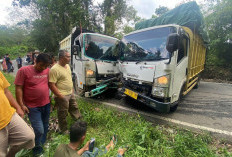 Hindari Lubang, 2 Dump Truck Bertabrakan di Jalan Lintas Curup - Lubuk Linggau