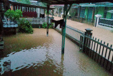 2 Kelurahan di Kota Bengkulu Direndam Banjir, BPBD Soroti Saluran Air Tersumbat