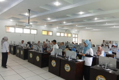 Dugaan Kecurangan Seleksi PPPK, Ombudsman hingga BKN Diminta Turun