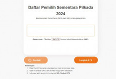 Cek DPT Pilkada 2024 Online Langsung dari Hp Anda, Begini Caranya