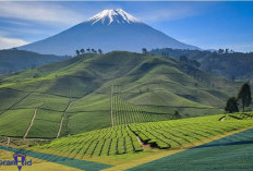 Wajib Kamu Ketahui! Berikut 9 Fakta Gunung Kerinci