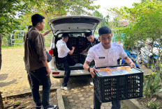 Bulan Ini, Ditargetkan 5 Dapur MBG Beroperasi di Bengkulu Tengah