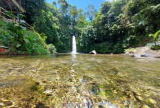 Air Terjun Sengkuang Kepahiang, Wisata Alam Penuh Keindahan