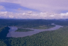 10 Sungai Terpanjang di Indonesia, Nomor 5 Sumber Mata Airnya Ada di Provinsi Bengkulu 
