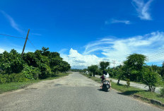 Jelang Event Nasional Kawasan Padang Panjang Bengkulu Selatan Banyak Rusak