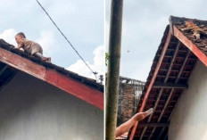 Balita 2,5 Tahun Naik Atap Rumah di Lombok Tengah, Warga Panik dan Lakukan Evakuasi