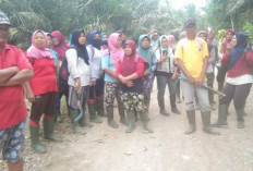 UMK Mukomuko 2026 Naik 5,41 Persen, Tertinggi di Bengkulu