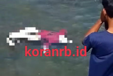 Heboh Penemuan Mayat Diduga Warga BS di Perairan Lampung, Ini Kata Kepala BPBD