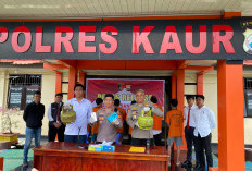 Ops Musang Nala Berakhir, 14 Tersangka Ditangkap 