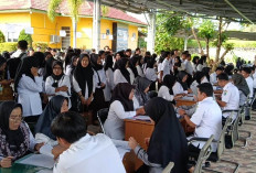 Mantan Caleg Lulus PPPK Tahap I Terancam Tidak Dilantik