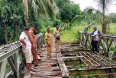 Renovasi 2 Unit Jembatan Gantung di Bengkulu Selatan Habiskan Dana Rp1,4 Miliar 