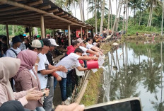 Membludak! Lomba Mancing Mania Pemkab dan PWI Kepahiang Berhadiah 2 Unit Sepeda Motor Dimulai