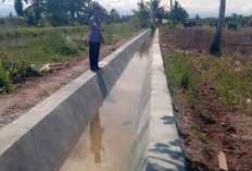 Rehab Irigasi Air Payang Mukomuko Terkendala, Material Harus Dipikul Lewati Sawah