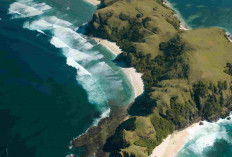 Keindahan Bukit Merese Lombok, Spot Wisata Viral dengan Panorama Laut dan Savana