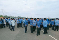 Usulan Kuota 213 CPNS 2024 Kota Bengkulu, Pj Sekda:  Formasi Masih Menunggu