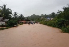 Desa Lagan Bungin Kabupaten Bengkulu Tengah Diterjang Banjir, BPBD Sebut Karena Gorong-Gorong Tersumbat
