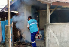 Warga Kembang Mumpo Meninggal Positif DBD, Penanganan Masih Minim