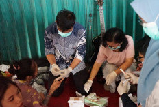Layanan Skrining HIV Kota Bengkulu Diperluas, Kasus Baru Terus Ditemukan