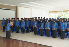 PPPK Terancam Dipecat, BKPSDM Bengkulu Selatan Sampaikan Ini