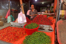 Stok Sedikit, Harga Cabai Merah Tembus Rp60 Ribu/Kg