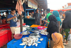 Ikan Merosot, BBM Sulit, Nelayan Menjerit