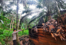 Sering Menjadi Penyebab Kebakaran, Ini Penyebab dan Cara Mengatasi Korsleting Listrik