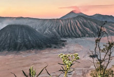 Gunung Bromo Lebih dari Sekedar Ikon Jawa Timur, Ini 5 Fakta Uniknya!