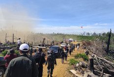 Sawit Ilegal di Koridor Gajah Mukomuko Ditebang, Dugaan Keterlibatan Pejabat Menguat