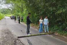 Begal Sasar Pelajar di Jalan Lintas Kepahiang - Pagar Alam, Ini Modusnya
