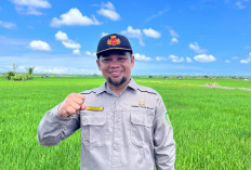 Alokasi Pupuk Subsidi Naik, DTPHP Provinsi Bengkulu Ucapkan Terima Kasih ke Mentan