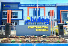 Terkendala Data Penerima, Penyaluran Bapang Beras di Bengkulu Bakal Dirapel Februari 2025