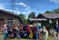 3 Kesepakatan Sikapi Teror Tower Listrik Tegangan Tinggi Milik TLB. Paling Lambat 7 Februari Diputuskan  